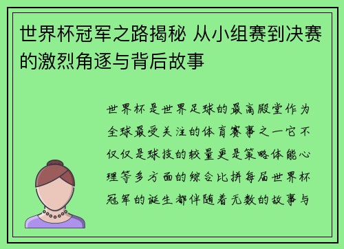 世界杯冠军之路揭秘 从小组赛到决赛的激烈角逐与背后故事
