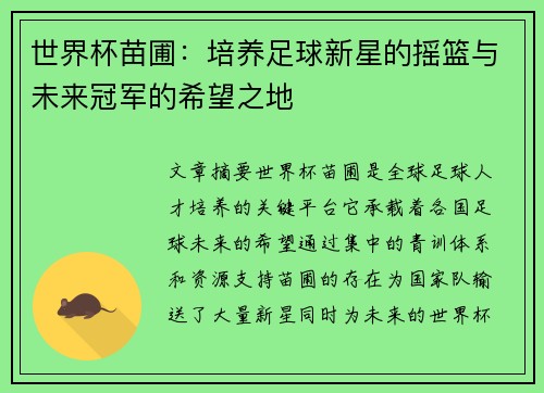 世界杯苗圃：培养足球新星的摇篮与未来冠军的希望之地